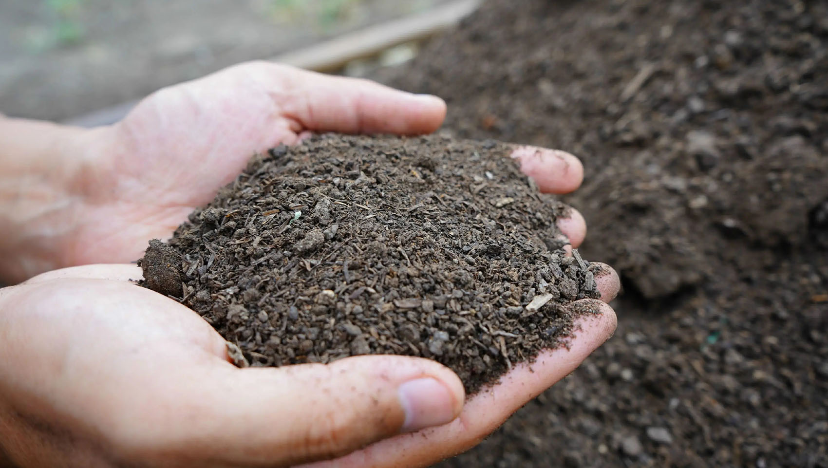 PLANTING NUTRIENT SOIL