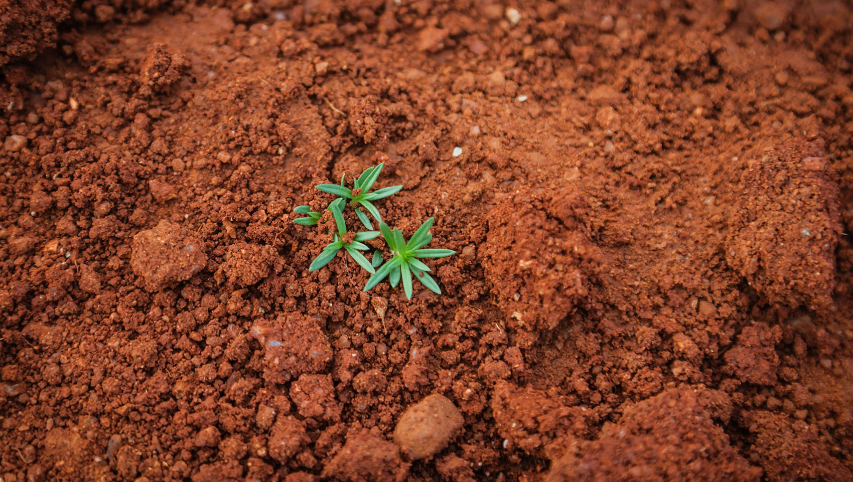 GREEN,ENVIRONMENT-FRIENDLY AND POLLUTION-FREE